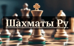 Шахматы